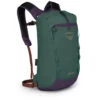 Daylite Cinch Pack -Travel Storage Shop daylitecinch f22 side axogreenenchantmentpurple
